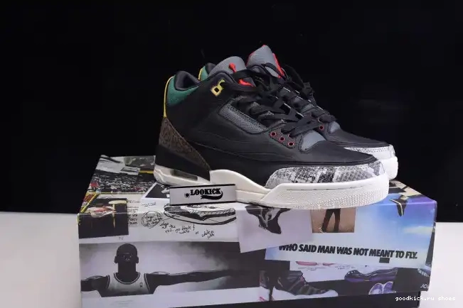 Rep Jordan Retro SE Instinct CV3583-003 2.0 Animal 3 - Air 0529